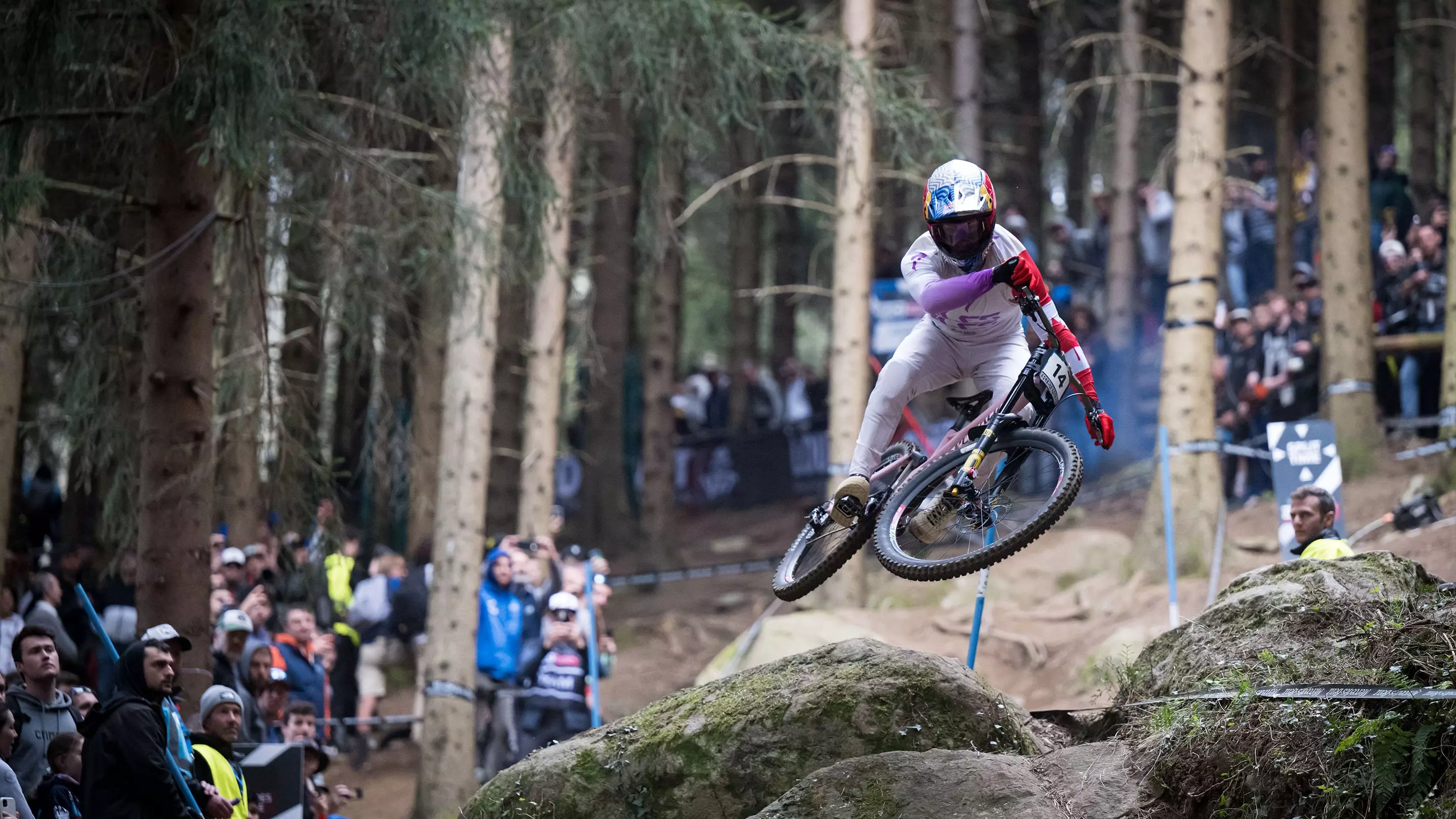 Specialized Cannibal Grid Gravity T9 2Bliss 29 x 2.4